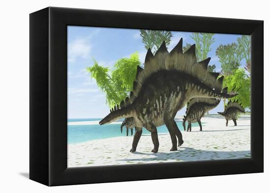 Stegosaurus Dinosaurs Drinking from a Jurassic Lake-null-Framed Stretched Canvas