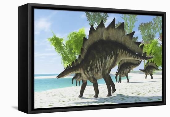 Stegosaurus Dinosaurs Drinking from a Jurassic Lake-null-Framed Stretched Canvas