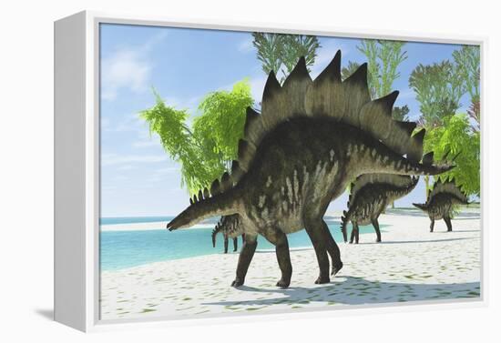 Stegosaurus Dinosaurs Drinking from a Jurassic Lake-null-Framed Stretched Canvas