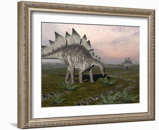 Stegosaurus Dinosaurs Grazing on Plants-null-Framed Art Print