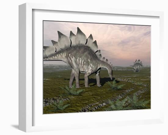 Stegosaurus Dinosaurs Grazing on Plants-null-Framed Art Print