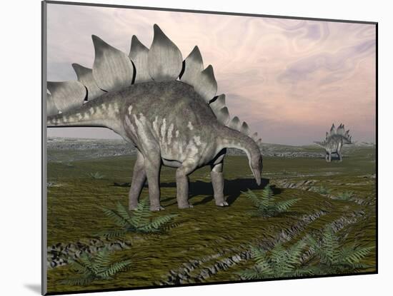Stegosaurus Dinosaurs Grazing on Plants-null-Mounted Art Print