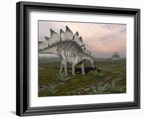 Stegosaurus Dinosaurs Grazing on Plants-null-Framed Art Print