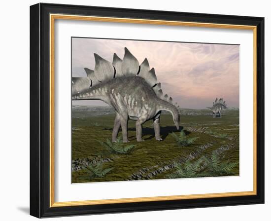 Stegosaurus Dinosaurs Grazing on Plants-null-Framed Art Print