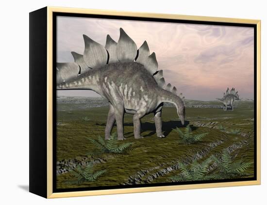 Stegosaurus Dinosaurs Grazing on Plants-null-Framed Stretched Canvas