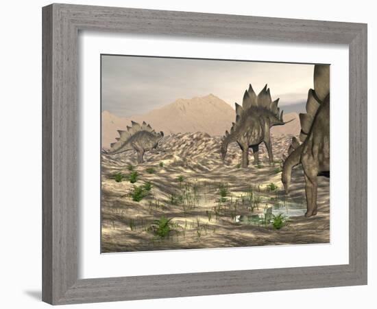 Stegosaurus Dinosaurs Searching for Water in a Desert Landscape-null-Framed Art Print