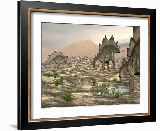 Stegosaurus Dinosaurs Searching for Water in a Desert Landscape-null-Framed Art Print