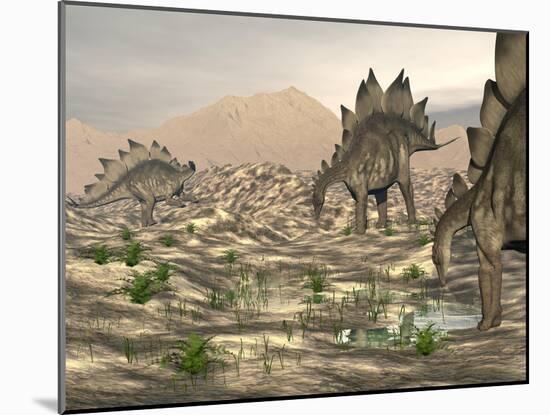 Stegosaurus Dinosaurs Searching for Water in a Desert Landscape-null-Mounted Art Print