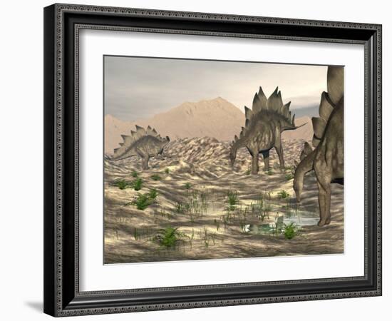 Stegosaurus Dinosaurs Searching for Water in a Desert Landscape-null-Framed Art Print