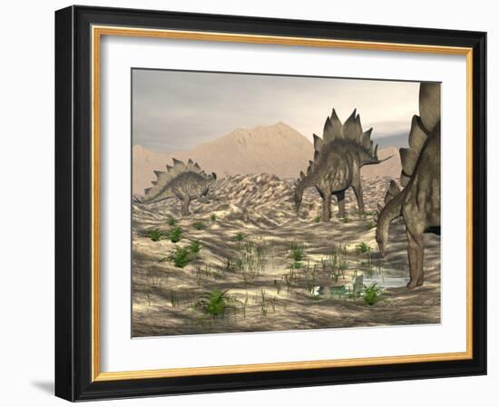 Stegosaurus Dinosaurs Searching for Water in a Desert Landscape-null-Framed Art Print