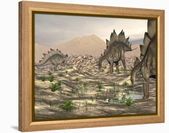 Stegosaurus Dinosaurs Searching for Water in a Desert Landscape-null-Framed Stretched Canvas