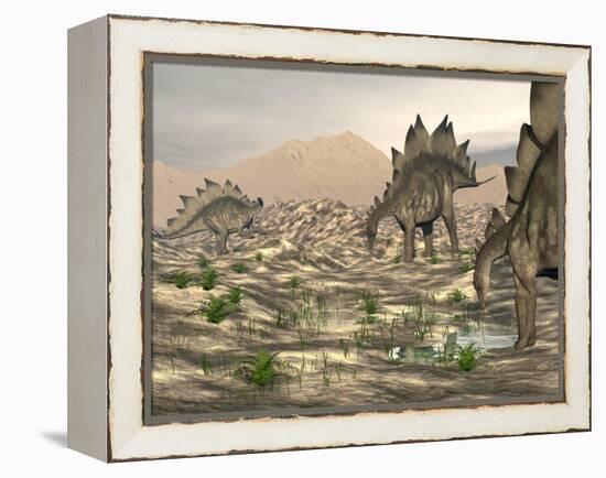 Stegosaurus Dinosaurs Searching for Water in a Desert Landscape-null-Framed Stretched Canvas