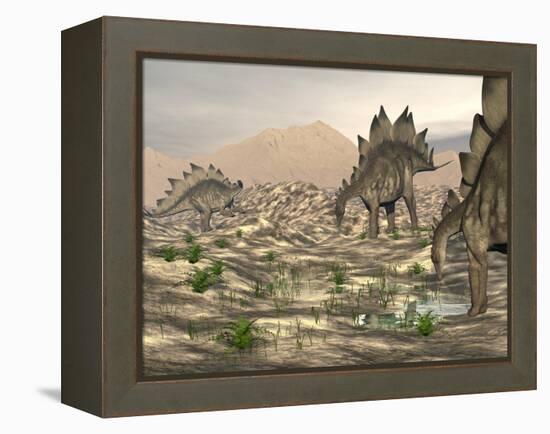 Stegosaurus Dinosaurs Searching for Water in a Desert Landscape-null-Framed Stretched Canvas