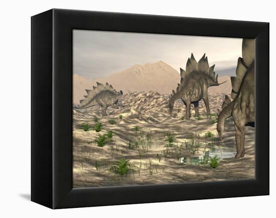 Stegosaurus Dinosaurs Searching for Water in a Desert Landscape-null-Framed Stretched Canvas