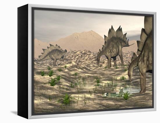 Stegosaurus Dinosaurs Searching for Water in a Desert Landscape-null-Framed Stretched Canvas