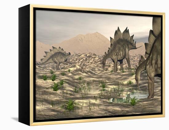 Stegosaurus Dinosaurs Searching for Water in a Desert Landscape-null-Framed Stretched Canvas