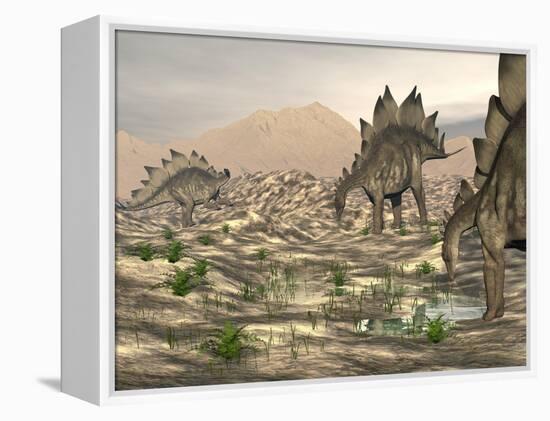 Stegosaurus Dinosaurs Searching for Water in a Desert Landscape-null-Framed Stretched Canvas