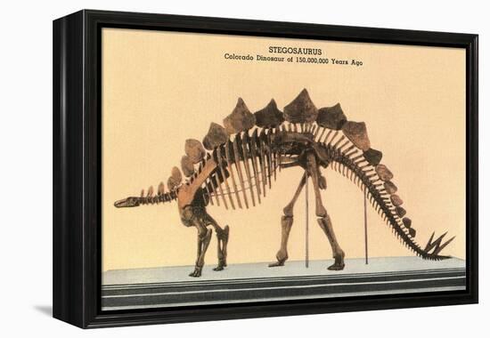 Stegosaurus Skeleton-null-Framed Stretched Canvas