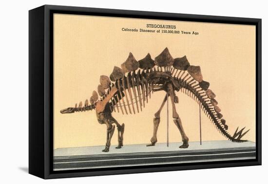 Stegosaurus Skeleton-null-Framed Stretched Canvas