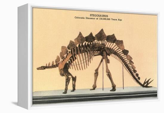 Stegosaurus Skeleton-null-Framed Stretched Canvas