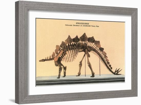 Stegosaurus Skeleton-null-Framed Premium Giclee Print