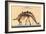 Stegosaurus Skeleton-null-Framed Premium Giclee Print