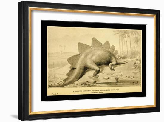 Stegosaurus Ungulatus-Joseph Smit-Framed Art Print