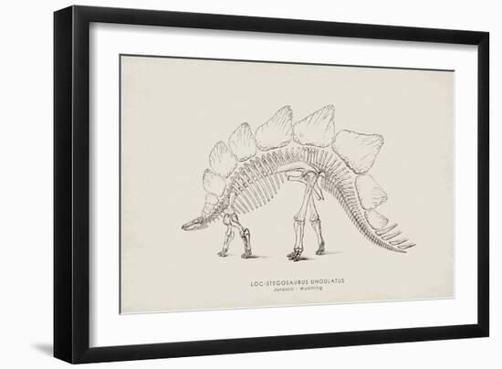 Stegosaurus-The Vintage Collection-Framed Giclee Print