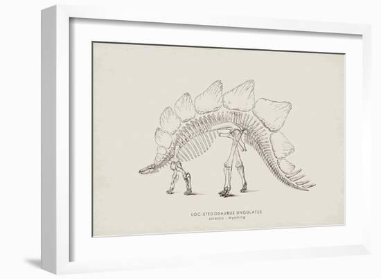 Stegosaurus-The Vintage Collection-Framed Giclee Print