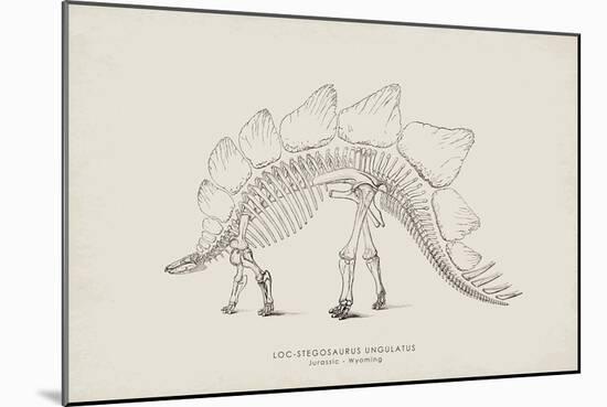 Stegosaurus-The Vintage Collection-Mounted Giclee Print