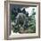 Stegosaurus-English School-Framed Giclee Print