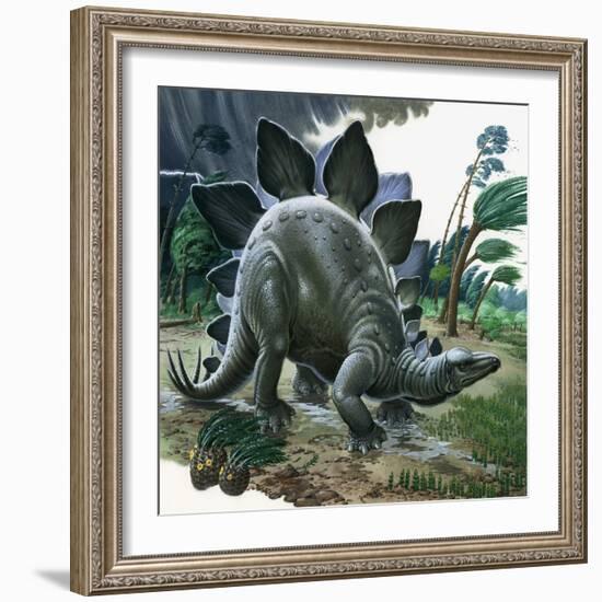 Stegosaurus-English School-Framed Giclee Print