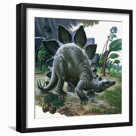 Stegosaurus-English School-Framed Giclee Print