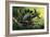 Stegosaurus-English School-Framed Giclee Print