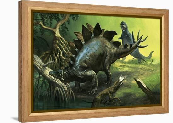 Stegosaurus-English School-Framed Premier Image Canvas