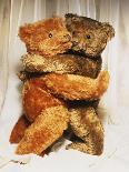 A Cinnamon Steiff Teddy Bear, circa 1905-Steiff-Giclee Print