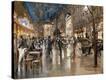 Stretched Canvas Print