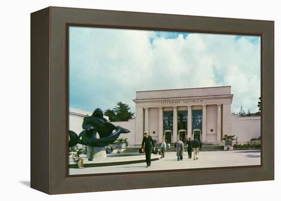 Steinhart Aquarium, San Francisco, California-null-Framed Stretched Canvas