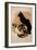 Steinlen, Two Cats-null-Framed Giclee Print