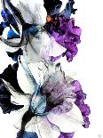 Black Iris Fancy-Stella Chang-Art Print