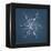 Stellar Dendrite Snowflake-null-Framed Premier Image Canvas