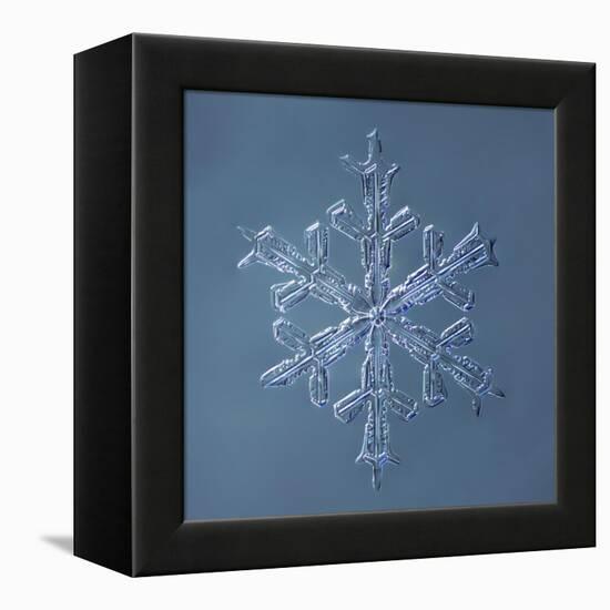 Stellar Dendrite Snowflake-null-Framed Premier Image Canvas