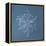 Stellar Dendrite Snowflake-null-Framed Premier Image Canvas