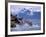 Stellar Sea Lions, Glacier Bay, Alaska, USA-Gavriel Jecan-Framed Photographic Print