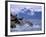 Stellar Sea Lions, Glacier Bay, Alaska, USA-Gavriel Jecan-Framed Photographic Print