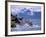 Stellar Sea Lions, Glacier Bay, Alaska, USA-Gavriel Jecan-Framed Photographic Print