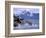 Stellar Sea Lions, Glacier Bay, Alaska, USA-Gavriel Jecan-Framed Photographic Print