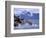 Stellar Sea Lions, Glacier Bay, Alaska, USA-Gavriel Jecan-Framed Photographic Print