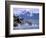 Stellar Sea Lions, Glacier Bay, Alaska, USA-Gavriel Jecan-Framed Photographic Print