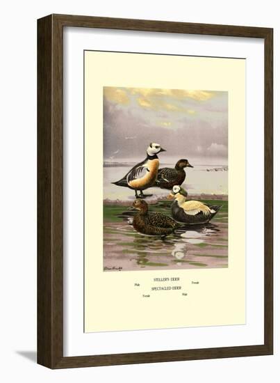 Stellars and Spectacled Eiders-Allan Brooks-Framed Art Print